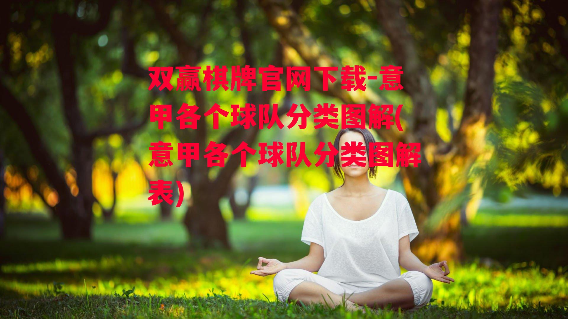 意甲各个球队分类图解(意甲各个球队分类图解表)